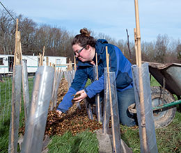 ELC funding bid - a farmer at work