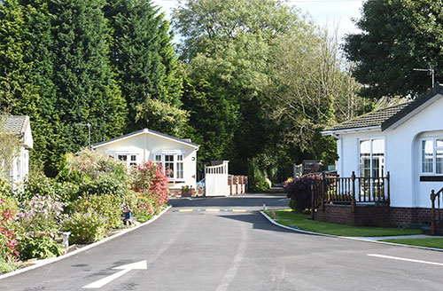 Horses in a field - diversification can turn rural land into houses 