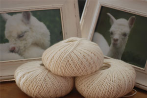 Alpaca yoga and Alpaca yarn