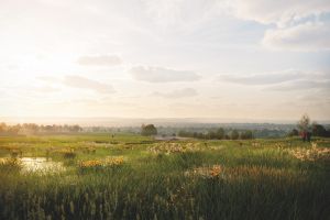 Yate Fold Farm Habitat Bank visualisation.