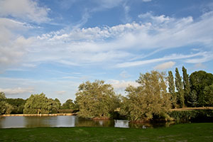 Diversification of Four Oaks Farm, Streat, Sussex