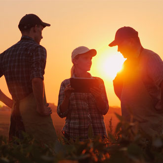 Group of farmers talking about farm diversification 