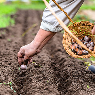 Warming Up for Spring: Prepping your Land for the Season Ahead