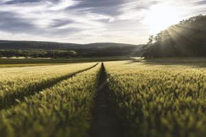 Farm land - Powering the future of farming!